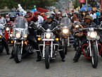Caravana del zorro
